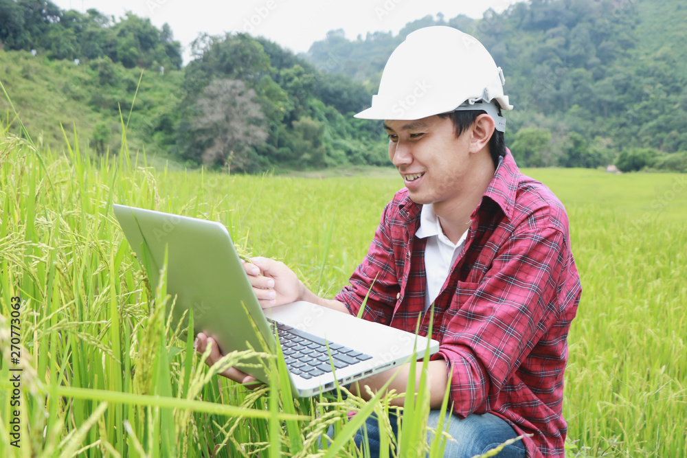 Smart Farming.Management Information System using technologies in ...