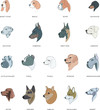 Breeds of dogs drawn in minimal style set. Vector illustration