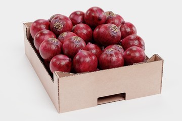 Wall Mural - Realistic 3D Render of Onions in Box