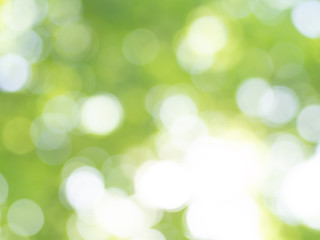 abstract light green background with bokeh effect