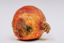 Decayed Pomegranates Free Stock Photo - Public Domain Pictures
