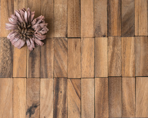 dry flowers on wooden background