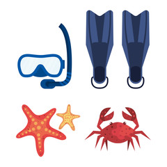 Canvas Print - set fin water equipment with snorkel masks and starfishes with crab