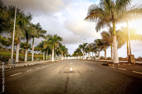 Summer background and coconuts palms Fototapete