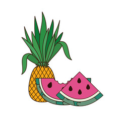 Sticker - delicious tropical fruits of summer on white background