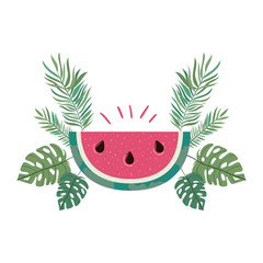 Wall Mural - portion of watermelon and white background