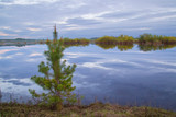 Fototapeta Natura - Evening landscape on the lake in the forest in the spring.