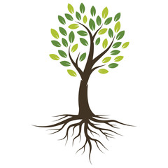 Wall Mural - Vector illustration Tree with Roots