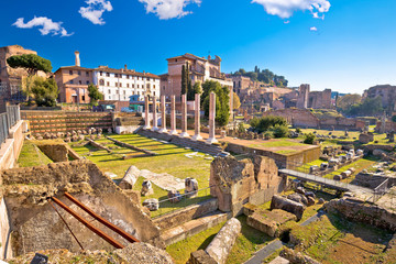 Wall Mural - Ancient Rome Forum Romanum and Palatine hill scenic view