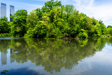 Poster - reflection of trees in water