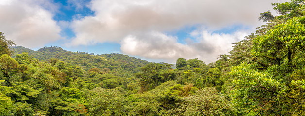 Wall Mural - Panoramic view to the valley of Monteverde Cloud Forest Reserve in Costa Rica