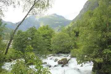 Wall Mural - landscape