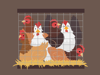 Poster - Chicken Crowded Cage Illustration