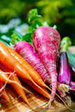 Fototapeta Tulipany - Bunches of fresh red long radish, carrots and purple onion, new harvest of healthy vegetables