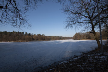 Canvas Print - Winter