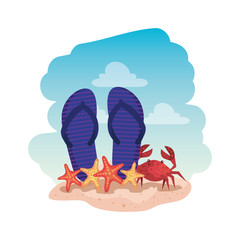 Canvas Print - summer flip flops and crab with starfish