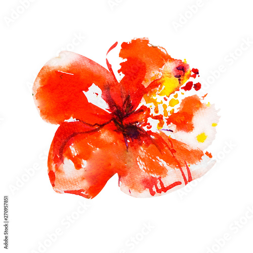 Beautiful red hibiscus flower. Watercolor painting. Exotic plant. Floral prin...