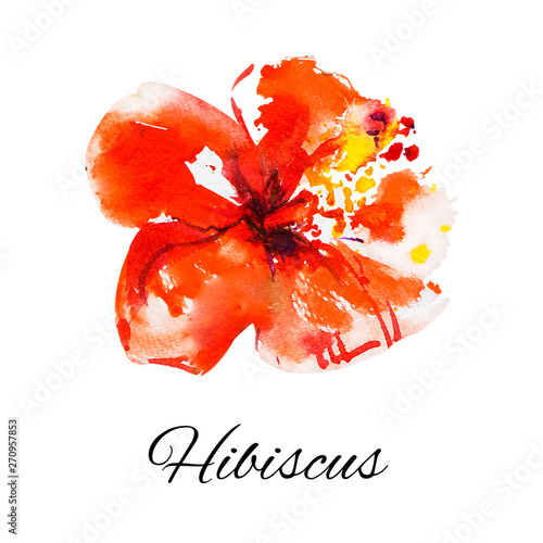 Beautiful red hibiscus flower. Watercolor painting. Exotic plant. Floral prin...