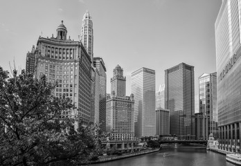 Wall Mural - Big City Urban Skyline