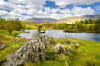 The picturesque Tarn Hows showing the water and the rocky shore side. Part of the National Park at Cumbria. 