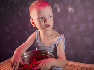 Funny little baby boy blond eating ripe strawberries from large pot. Kid helped to harvest with mom in garden and now enjoys. Child eat healthy organic foods, fresh berries