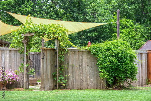 Garden or party area shaded by sails and an umbrella behind privacy fence with open gate  with vines growing on a trellis and on rustic fence and flowers outside - summer trees in background -Go Away