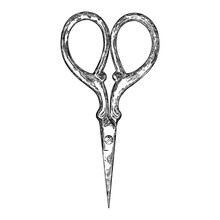 Decorative Scissors Engraving Illustration On White Background. Hand Drawing. Witch Magic Tool. Vector.