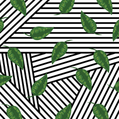 Sticker - geometric lines and tropical style background