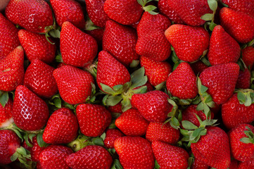 Wall Mural - Aerial view of set of freshly picked strawberries