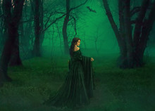 Dark Queen Of Otherworldly Forces Leads Into Realm Of Dead Souls. Bloody Vampire In Long Velor Emerald Dress Lures Into Her Lair, Lost Pretty Princess With Dark Hair Lost Her Way And Follows Bat