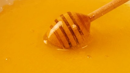 Wall Mural - Close up spinning wooden dipper in honey bowl