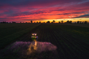 Wall Mural - Tractor spraying field at spring