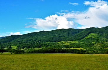 a hilly area with green grass and forest