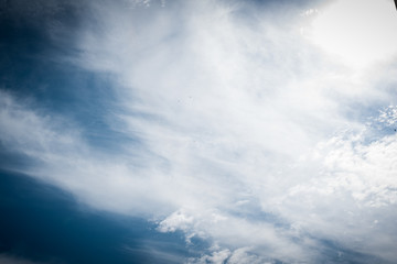 Wall Mural - blue sky with clouds and birds