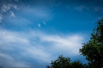 Wall Mural - blue sky with clouds and birds