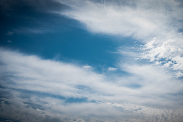 Wall Mural - blue sky with clouds and birds