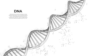 DNA. Abstract 3d polygonal wireframe DNA molecule. Medical science, genetic biotechnology, chemistry biology, gene cell concept vector illustration or background. innovation technology concept