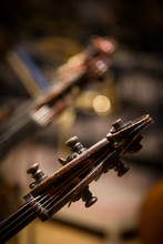 Double Bass Scroll And Tuning Pegs
