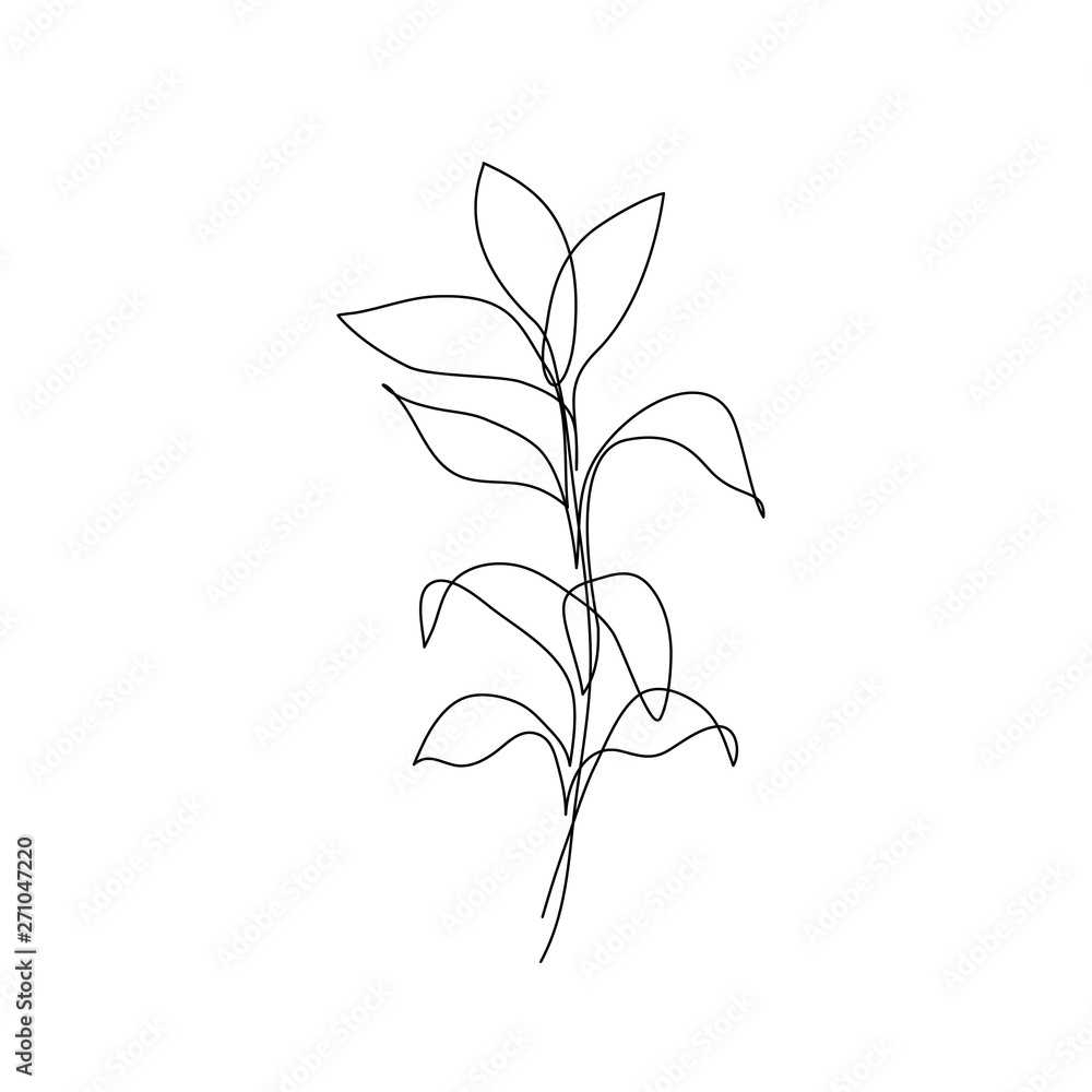 Abstract botanic leaves. One line drawing plant. Minimalist art Stock  Vector | Adobe Stock