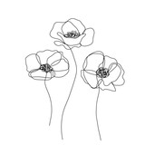 Fototapeta Tulipany - Abstract poppies flower. Continuous line drawing. Minimalist  modern art. Editable line.