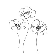Abstract Poppies Flower. Continuous Line Drawing. Minimalist  Modern Art. Editable Line.