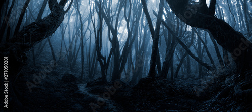 Fotomural Deep tropical forest in darkness