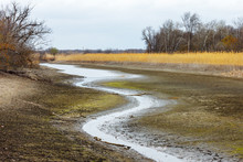 The Dry River Bed With Small Remains Of Water With Leafless Forest On The Shore