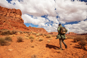 Wall Mural - hiker in valley of gods, usa