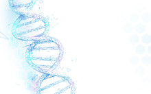 Wireframe DNA Molecules Structure Mesh On White Background. Science And Technology Concept