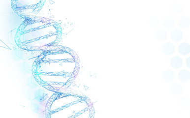 Leinwandbilder - Wireframe DNA molecules structure mesh on white background. Science and Technology concept