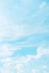 Wall Mural - vertical frame spring and summer season with beauty clear and bright sky and cloudy background with 