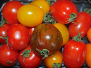 Pile of cocktail tomatoes in red and yellow