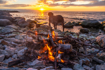 Wall Mural - fire burns near the sea