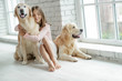 © nuzza11 - Child with a dog. A girl with labradors at home.